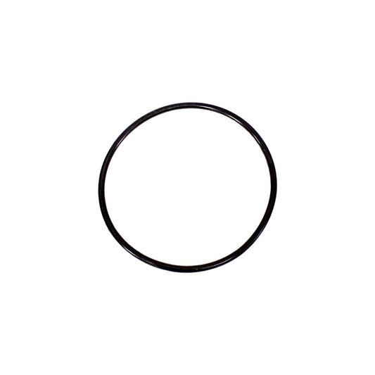 Replacement O-Ring for Single O-Ring Big Blue Housings
